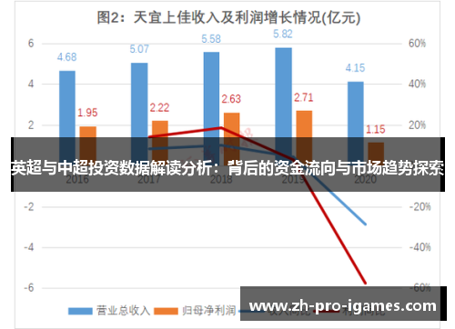 英超与中超投资数据解读分析：背后的资金流向与市场趋势探索