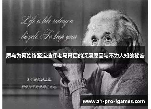 魔鸟为何始终坚定选择老马背后的深层原因与不为人知的秘密